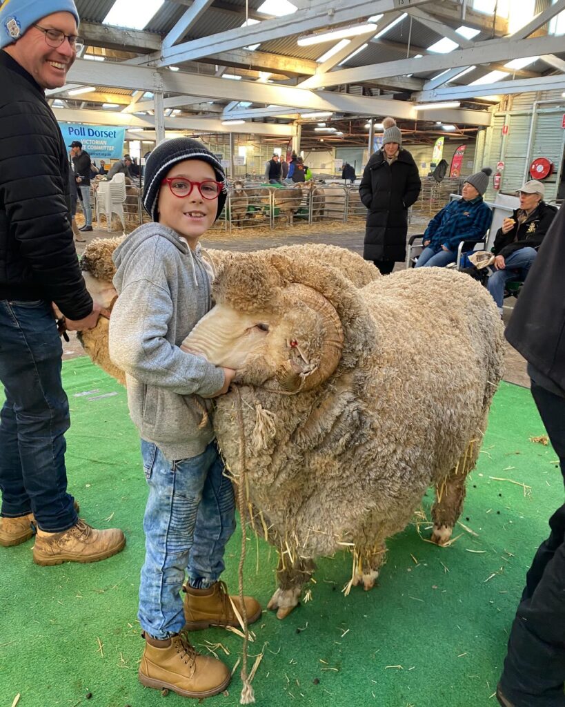 Child hugging large woolly sheep at indoor event.
