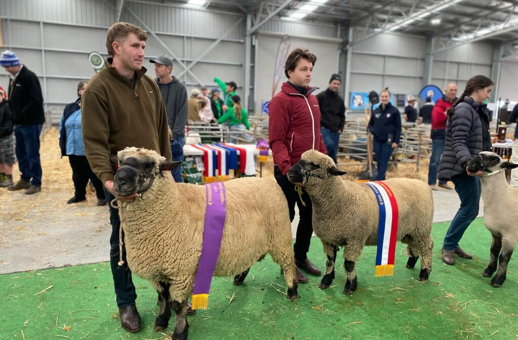 People with prize-winning sheep at an agricultural show.