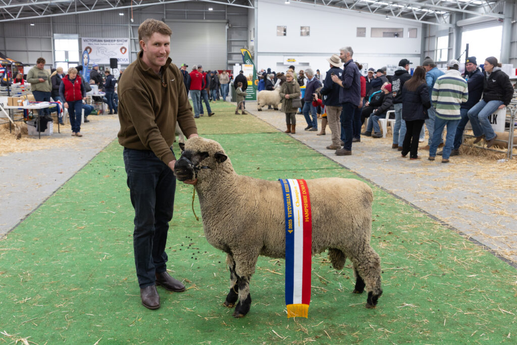 Farmer with prize-winning sheep, Victorian Sheep Show.