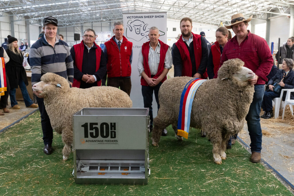 Victorian Sheep Show winners with sheep and feeder.